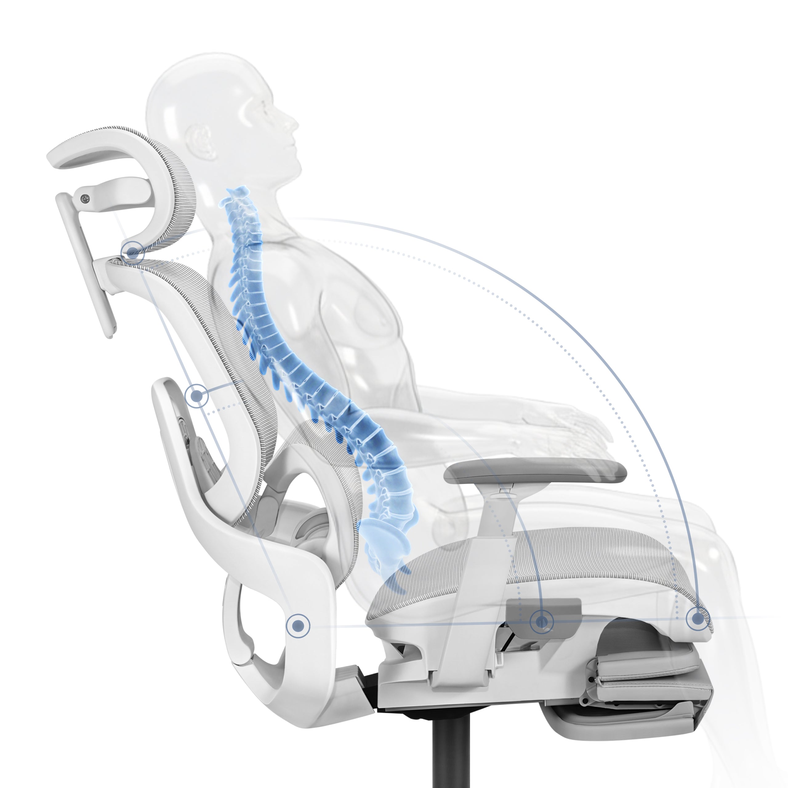 Verstellbare Lendenwirbelstütze